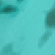 Modra - Blue