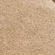 Beige Colour