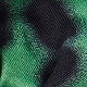 Green / Black