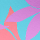Blue / Pink