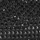 Črna - Black