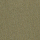Zelena - Olive