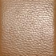 Rjava - Chestnut