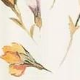 Bela - Multicolour / Mother Of Pearl Iris Print