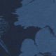 Modra - Dark Blue Colour
