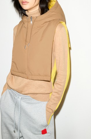 Reversible hooded collar