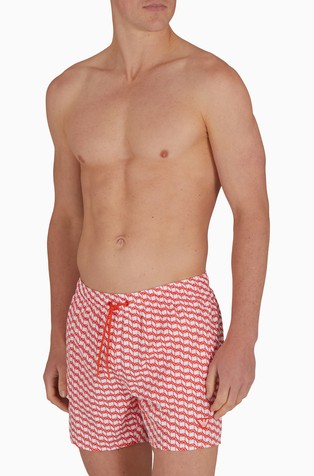 ASV swim shorts in small-eagle recycled fabric