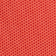 Oranžna - Paprika