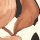 Večbarvna - Black / Brown