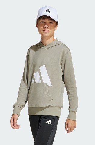 Essentials unisex pulover s kapuco