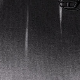 Črna - Black / Gray