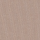 Ash Brown