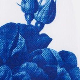 Večbarvna - Blue / White