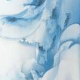 Blue / White