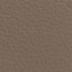 Siva - Warm Taupe