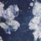 Modra - Blue