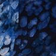 Modra - Blue