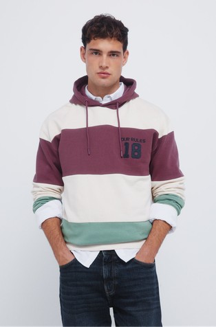 Hooded sweatshirt in colour block