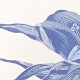 Večbarvna - White / Blue