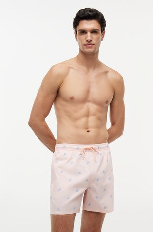 Striped Embroidery Mid Length Swim Shorts