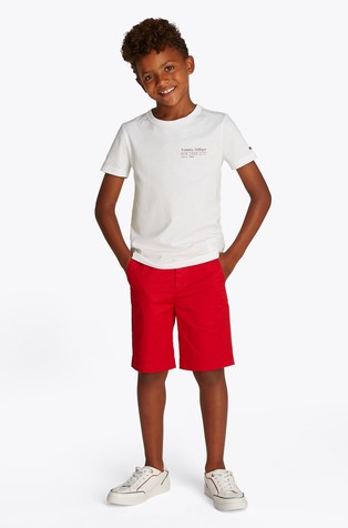 Fun Flag regular fit majica s potiskom spredaj in zadaj