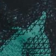 Večbarvna - Multi