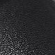 Črna - Black