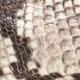 Rjava - Brown/Taupe