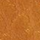 Rjava - Cognac